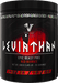 Viking Power Leviathan Hardcore PWO - 660 g - | Köp hos Gymcentralen