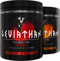 Viking Power Leviathan Hardcore PWO - 660 g - | Köp hos Gymcentralen
